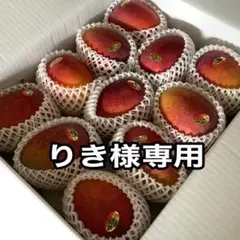 冷蔵発送】台湾産 愛文マンゴー 約5kg12-16个入 - メルカリ
