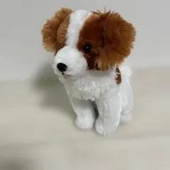 コーイケルホンディエのおでこちゃん おすわり ST.VMC 大谷翔平 2025年最新】コーイケルホンディエのおでこちゃんの人気アイテム