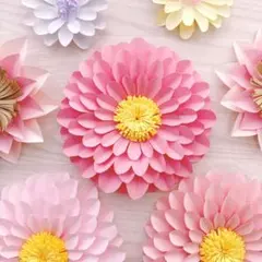 白くま様 リクエスト 3点 まとめ商品