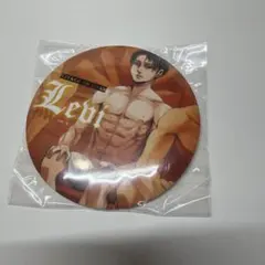 進撃の巨人 リヴァイ アルミン 缶バッジ