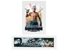 p*h様 【新品】RIZIN　一番くじ　ラジャブアリ・シェイドゥラエフ　全2種セ
