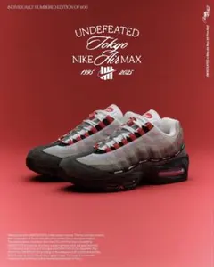 エアマックス95 Undefeated Fire Red 27cmのサムネイル