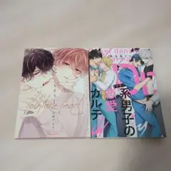 Dr.系男子の恋愛カルテ　高比良りと　フォークロアのごちそう　吉尾アキラ