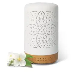 Young Living Desert Mist アロマディフューザー 本体 - メルカリ