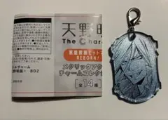 天野明展 スクアーロ メタリックアクリルチャーム