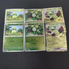 オリーヴァex　ミラー　進化ライン　各2枚　スタートデッキ100