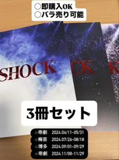 ヨルシカ B2ポスターセット 『盗作』『前世』『エルマ 』 - メルカリ