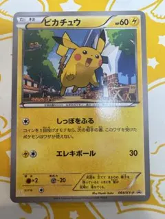 ピカチュウ PROMO XYシリーズプロモーションカード064/XY-P