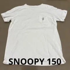 Item thumbnail for item 7cb31416-24f9-4580-ba5c-73bfeb524d6c