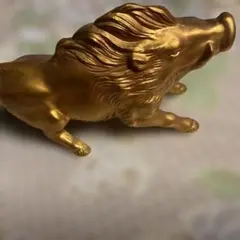2026年最新】万年青 獅子の人気アイテム - メルカリ