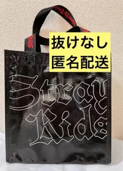 【匿名配送・抜けなし】スキズ アプグレ dominATE 2024 特典 セット