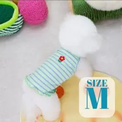 Item thumbnail for item df3d62ae-949f-426a-a240-69fda3a0d2c4