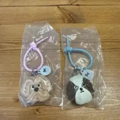 Maison terrier カラフルマルチチャー厶　2個セット