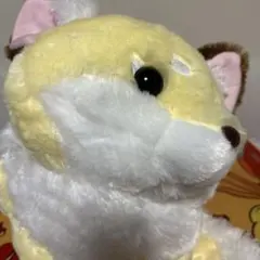 ちょコンとキツネ くるんとおねむ こんぺいとう JB ぬいぐるみ - メルカリ