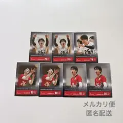 バレーボール 男子日本代表 トレーディングカード トレカ 山崎彰都