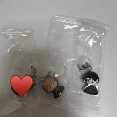 ハイキュー めじるしアクセサリー 日向翔陽