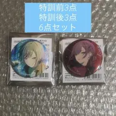 プロセカ グリッター 缶バッジ 49c 50c 日野森志歩