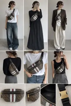 BURBERRY TBモノグラムストライプ Eキャンバス ソニー バムバッグ