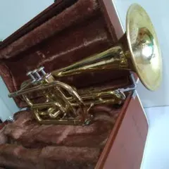 Item thumbnail for item 1179a5b6-b1ad-4cde-aee2-c4d2ee91ec3f