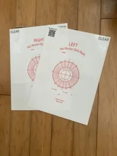 Item thumbnail for item 8d52bd3a-0b7a-436d-986f-184c2e973e5a