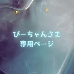 ぴーちゃんさま専用ページ✦.˚