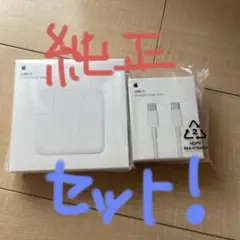 Apple純正品！61W USB-C電源アダプターと充電ケーブルセット