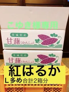 こゆき様専用Ｌ多め紅はるかさつまいも