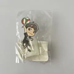【10/31まで】ハイキュー みつめてクルップ 宮治