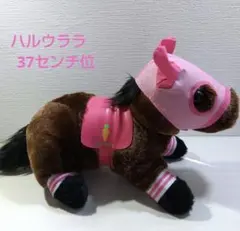 2026年最新】ハルウララぬいぐるみの人気アイテム - メルカリ