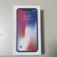 【空箱】Apple iPhone X シルバー