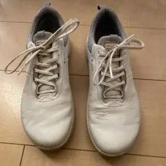 エコー　ゴルフシューズ