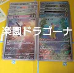 楽園ドラゴーナ　ar12種類コンプリート　1セット 　まとめ売り 339