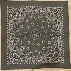 HAV-A-HANK ペイズリーバンダナ Charcoal