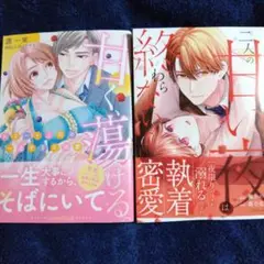 甘く、蕩ける。 エリート上司の一途すぎる溺愛☆他1冊☆