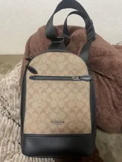 ハ*ス様 COACH ボディバッグ シグネチャー グレー - メルカリ
