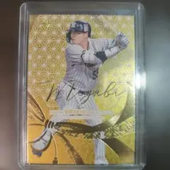 2025年最新】bbm gloryの人気アイテム - メルカリ