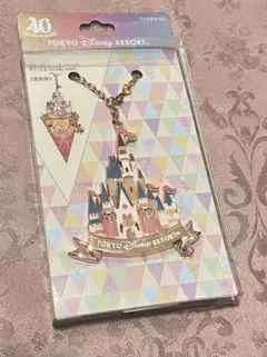 Disney - バッグチャーム　４点セット　ディズニーランド40周年 Disney - バッグチャーム 4点セット ディズニーランド40周年