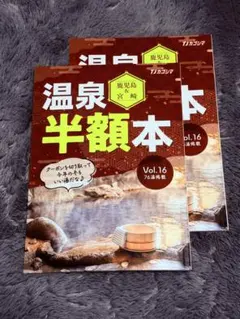 ２冊分【宮崎県　西・県南エリアのみ】温泉半額クーポンのみ