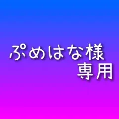 ぷめはな様 リクエスト 5点 まとめ商品