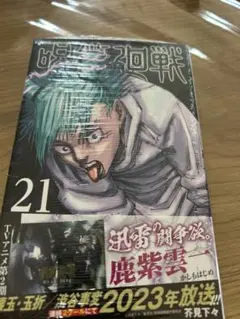 初版帯付き】呪術廻戦 21巻 - メルカリ