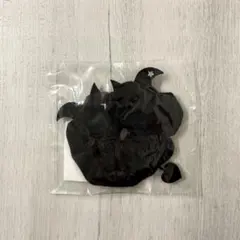 Xdinary Heroes エクディズ シュシュ