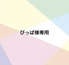 びっぱ様専用 オーダーネイルチップ マグネットガラスフレンチ
