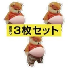 【訳あり】3枚 柴犬 ぷにぷに シール おなか 立体 ぷっくり シール帳 いぬ