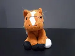 オルフェーヴル 超BIGぬいぐるみ DMM - メルカリ