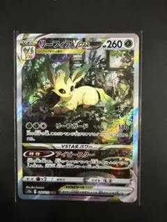 2026年最新】リーフィアvstarの人気アイテム - メルカリ