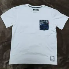 Item thumbnail for item 0b2509ab-19dd-4917-ba7d-7d0059376ae0