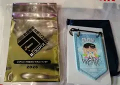 コンパス WEGO 勲章バッジ アダム - メルカリ