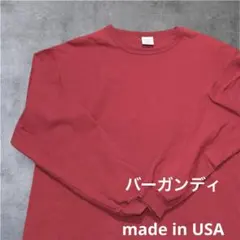 Champion T1011 ロンT USA製 ヘビーウェイト バインダーネック