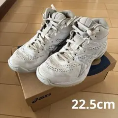 Item thumbnail for item d4aba2b3-9993-4f3f-96b0-febc3a3c710e