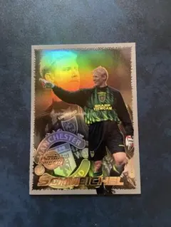Peter Schmeichel Premier Gold 99 インサート